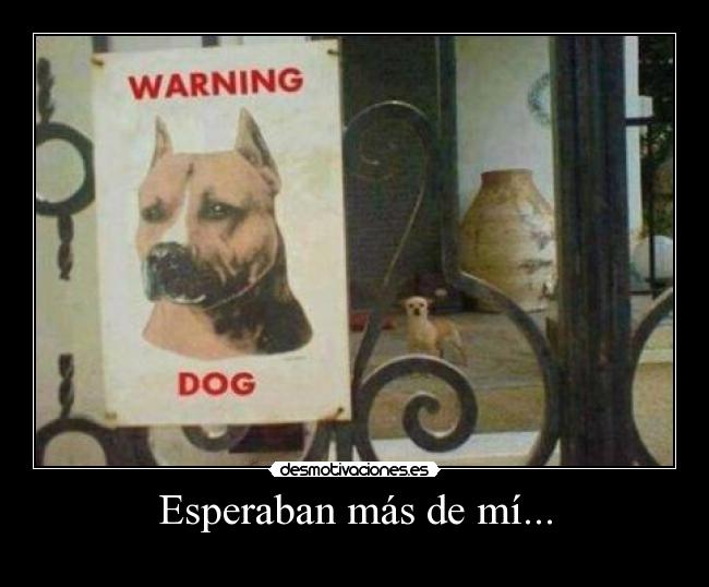carteles dije que personas decian resubirlo haria cumplo mis promesas owo desmotivaciones