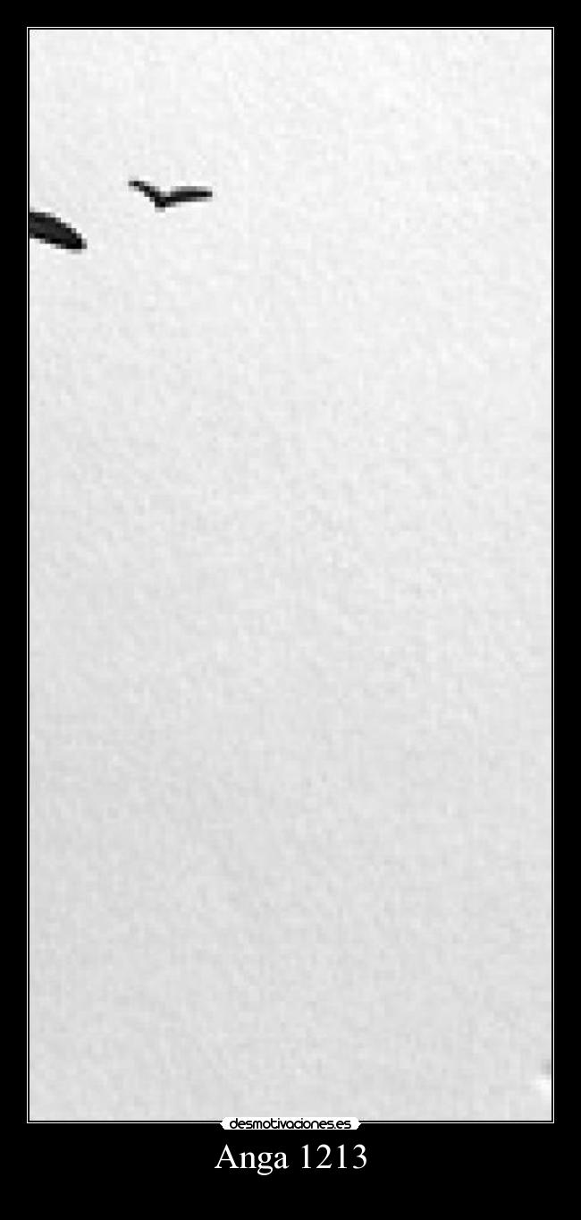 Anga 1213 -