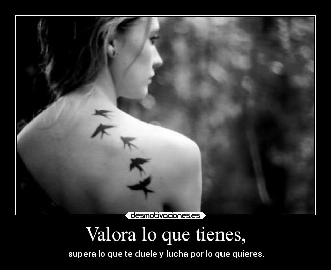 carteles valorar luchar imagen exacta desmotivaciones