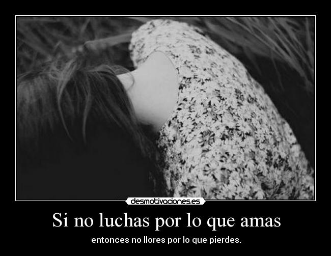 Si no luchas por lo que amas - 