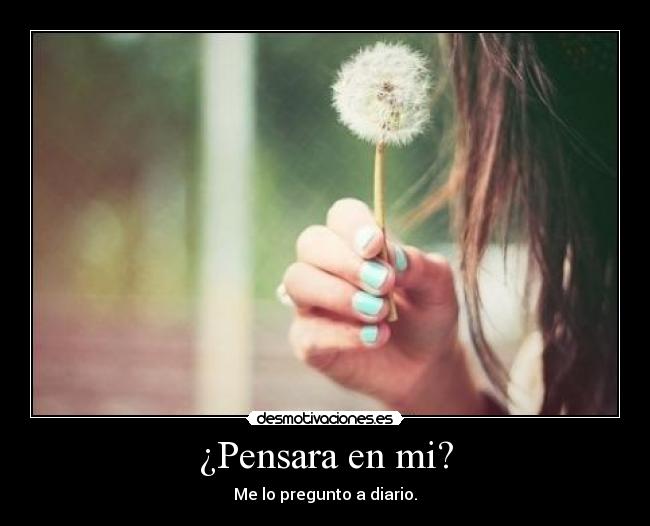 carteles unicorniosfelices pregunto piensas como desmotivaciones