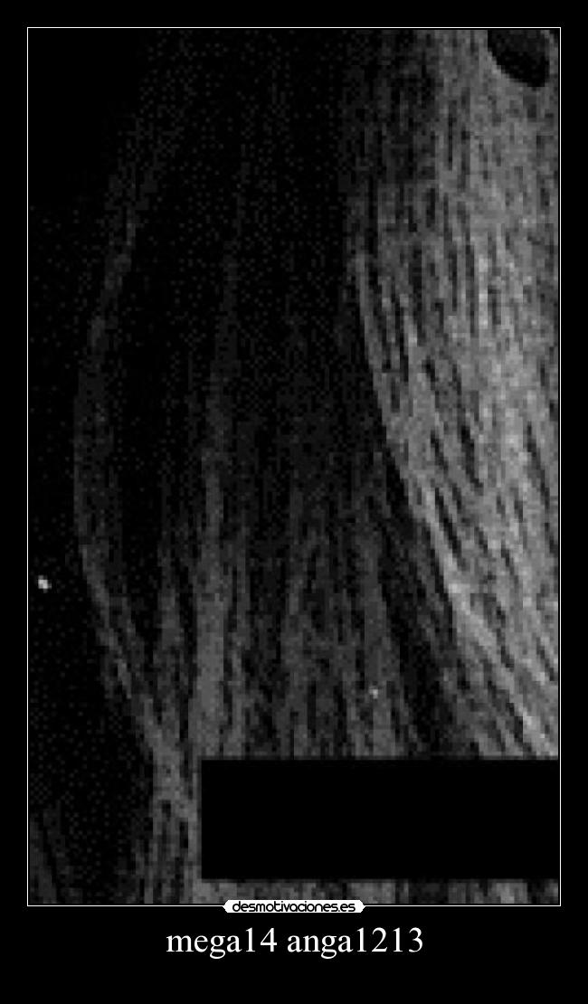 mega14 anga1213 -