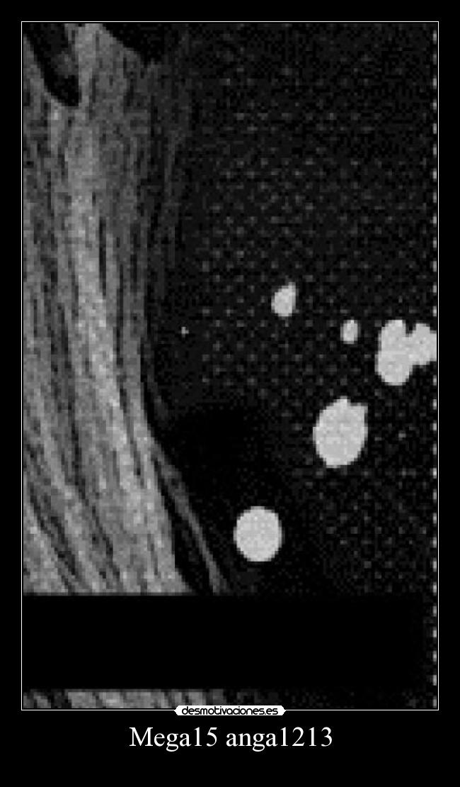 Mega15 anga1213 -