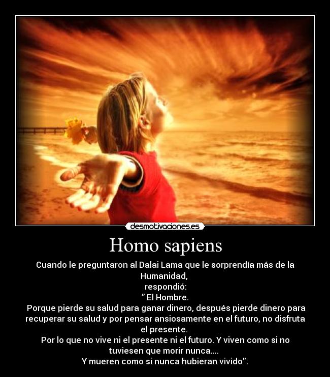 Homo sapiens - Cuando le preguntaron al Dalai Lama que le sorprendía más de la
Humanidad,
respondió:
” El Hombre.
Porque pierde su salud para ganar dinero, después pierde dinero para
recuperar su salud y por pensar ansiosamente en el futuro, no disfruta
el presente.
Por lo que no vive ni el presente ni el futuro. Y viven como si no
tuviesen que morir nunca….
Y mueren como si nunca hubieran vivido.