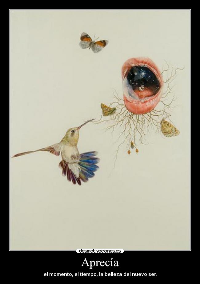 Aprecía - el momento, el tiempo, la belleza del nuevo ser.