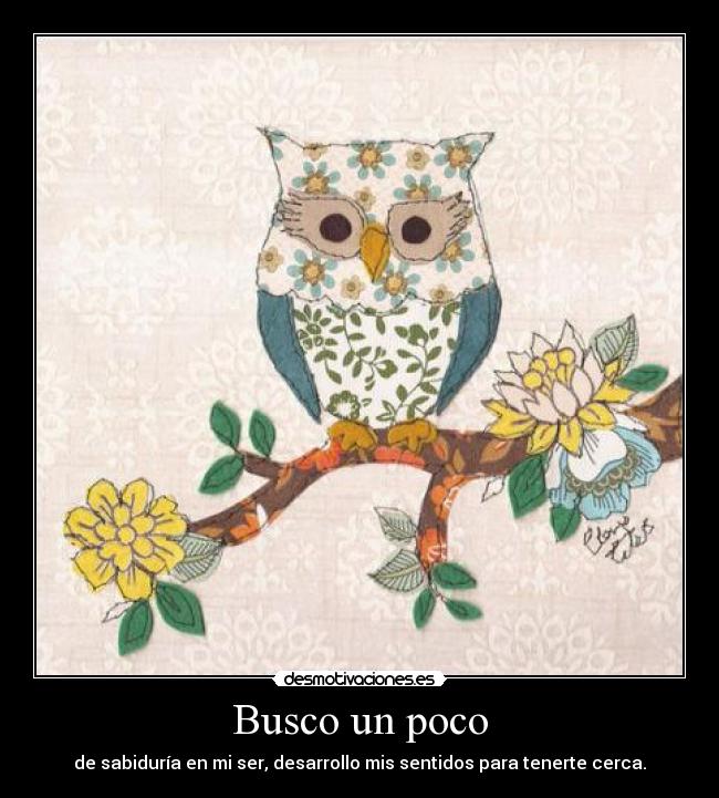 Busco un poco - de sabiduría en mi ser, desarrollo mis sentidos para tenerte cerca.