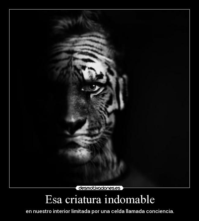 carteles rumpelstiltskin desmotivaciones