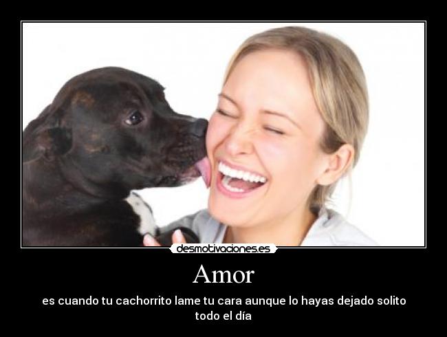 Amor - es cuando tu cachorrito lame tu cara aunque lo hayas dejado solito todo el día