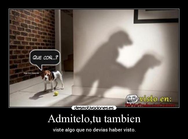 Admitelo,tu tambien - viste algo que no devias haber visto.