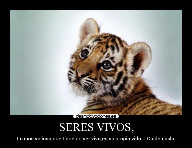 SERES VIVOS, -