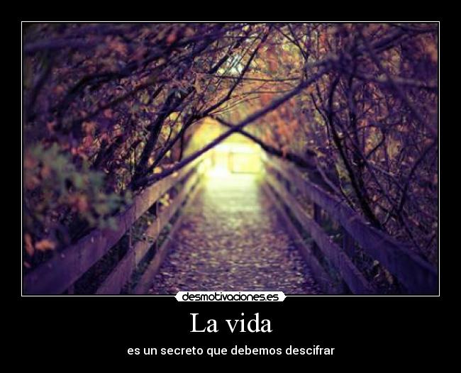 La vida - es un secreto que debemos descifrar