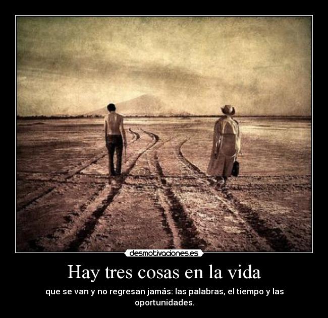 Hay tres cosas en la vida Desmotivaciones
