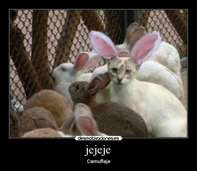 carteles humor desmotivaciones