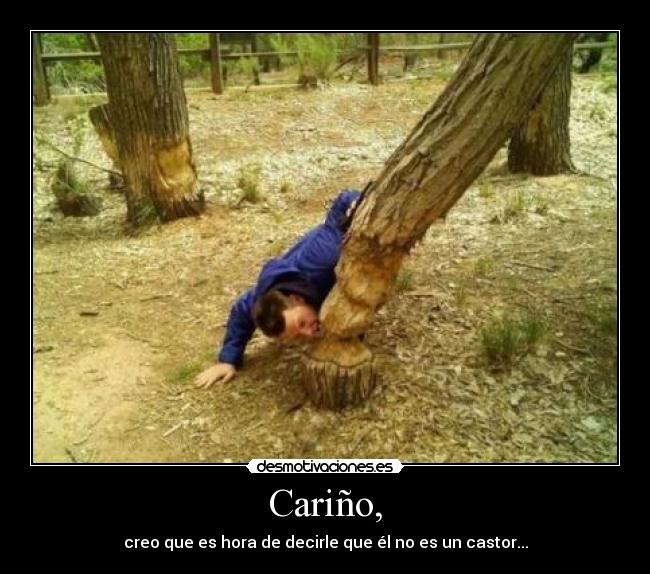 Cariño, - creo que es hora de decirle que él no es un castor...