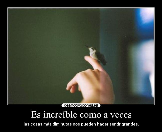 carteles ceroaladerechadespuesdecoma desmotivaciones