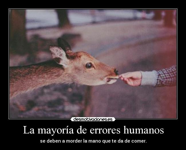 carteles ceroaladerechadespuesdecoma desmotivaciones