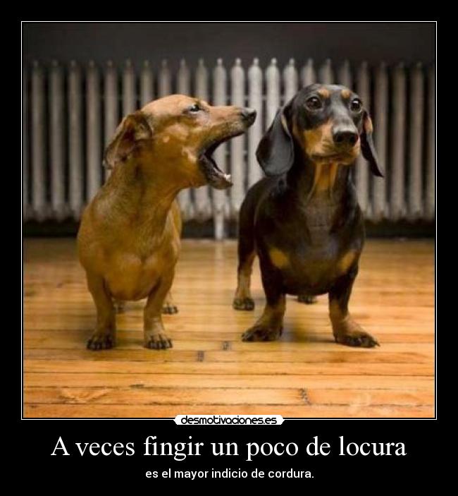 carteles locura ceroaladerechadespuesdecoma desmotivaciones