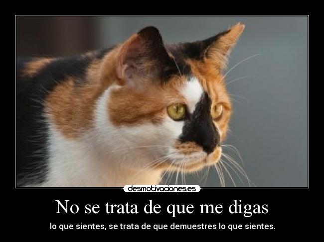 No se trata de que me digas - lo que sientes, se trata de que demuestres lo que sientes.