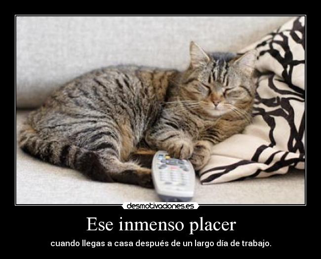 Ese inmenso placer - cuando llegas a casa después de un largo día de trabajo.