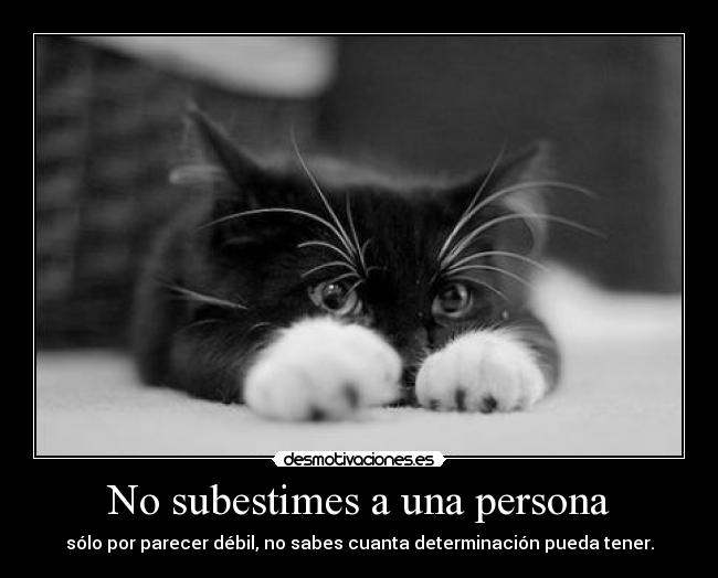 No subestimes a una persona - sólo por parecer débil, no sabes cuanta determinación pueda tener.