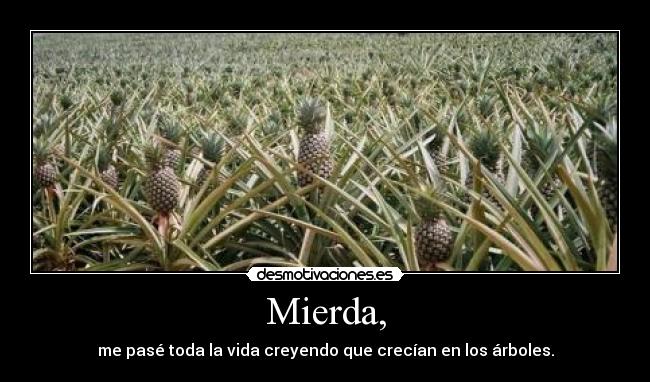 Mierda, -