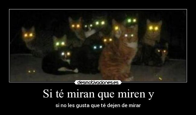 Si té miran que miren y -