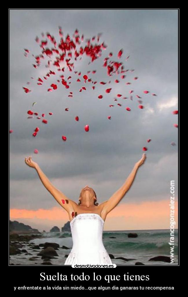 carteles enfrentate sin miedo desmotivaciones