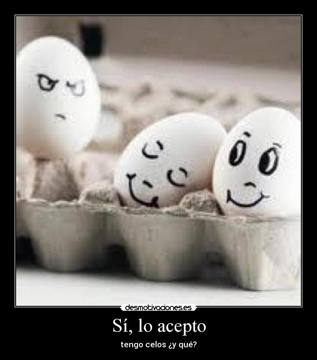 carteles acepto tengo celo que desmotivaciones