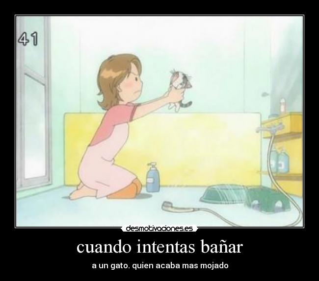 cuando intentas bañar - a un gato. quien acaba mas mojado