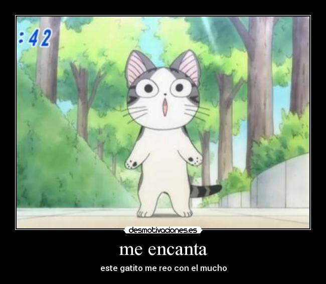 me encanta - este gatito me reo con el mucho