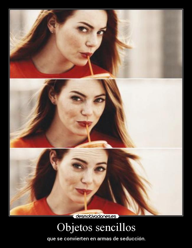 carteles seduccion desmotivaciones