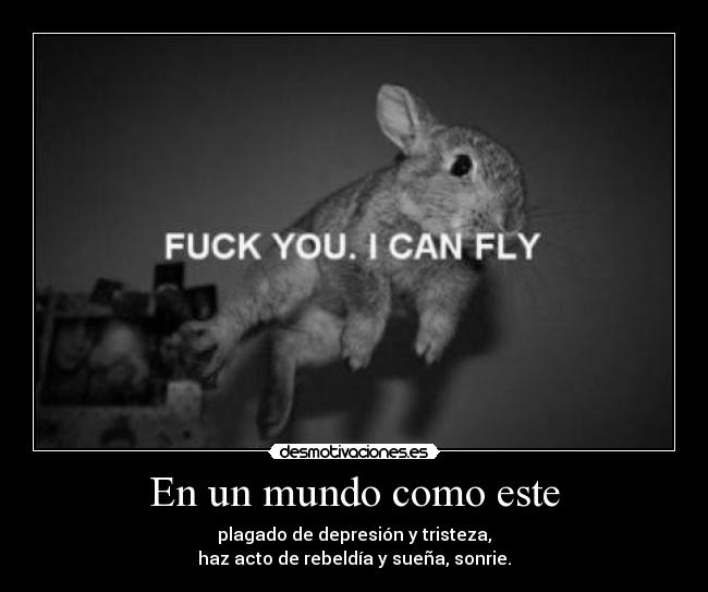En un mundo como este - plagado de depresión y tristeza,
haz acto de rebeldía y sueña, sonrie.