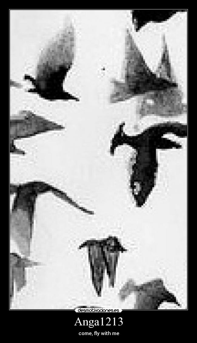 Anga1213 - come, fly with me