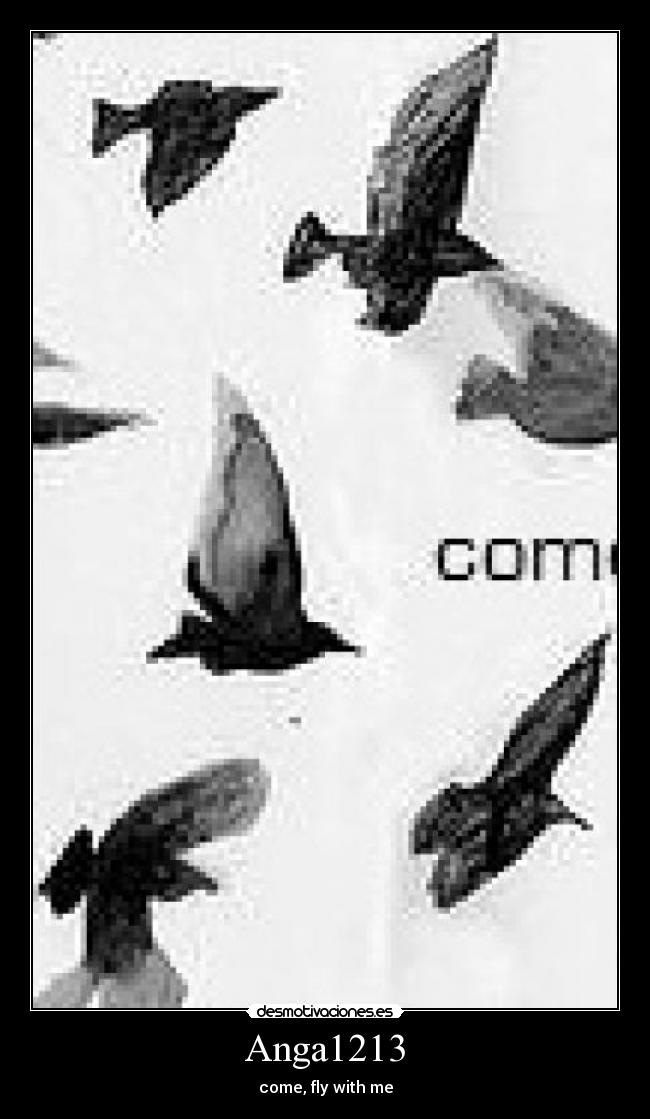 Anga1213 - come, fly with me