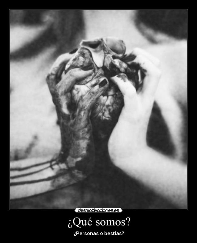 ¿Qué somos? - ¿Personas o bestias?