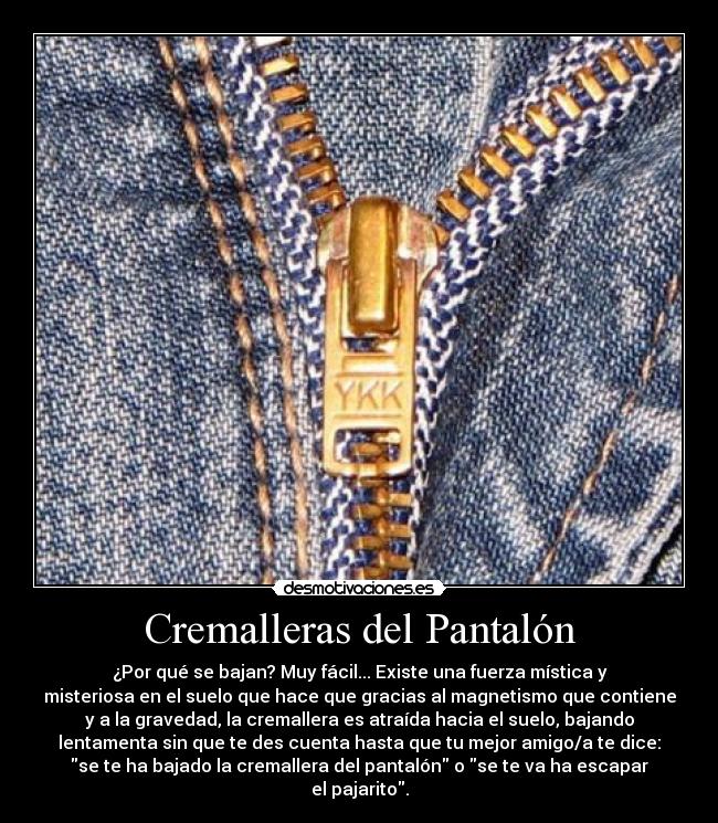 Cremalleras del Pantalón -