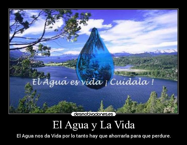 El Agua y La Vida -