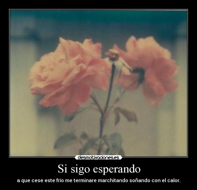 Si sigo esperando - a que cese este frío me terminare marchitando soñando con el calor.