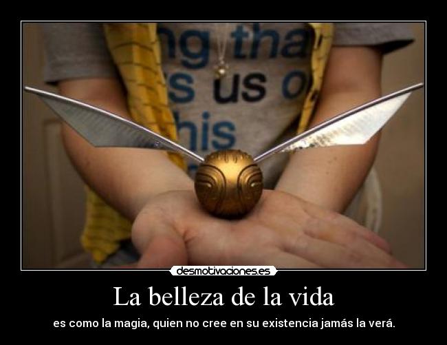 La belleza de la vida - 