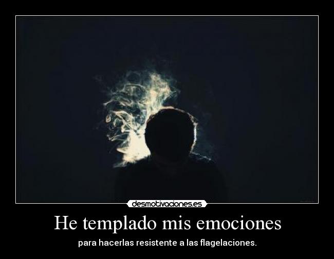 He templado mis emociones - 