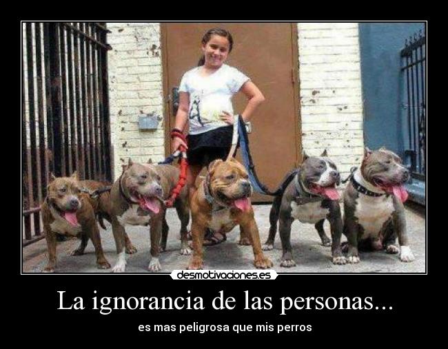 La ignorancia de las personas... -
