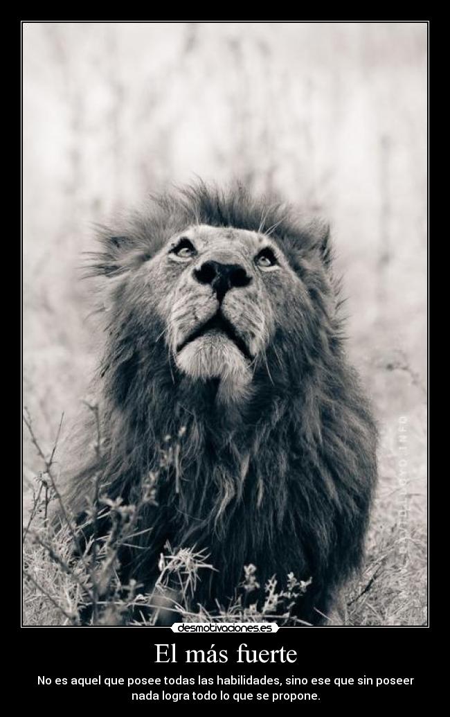 El más fuerte - 