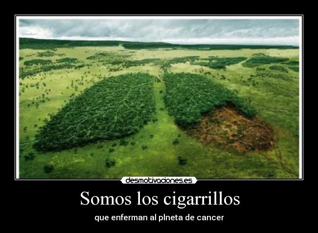 Somos los cigarrillos - 