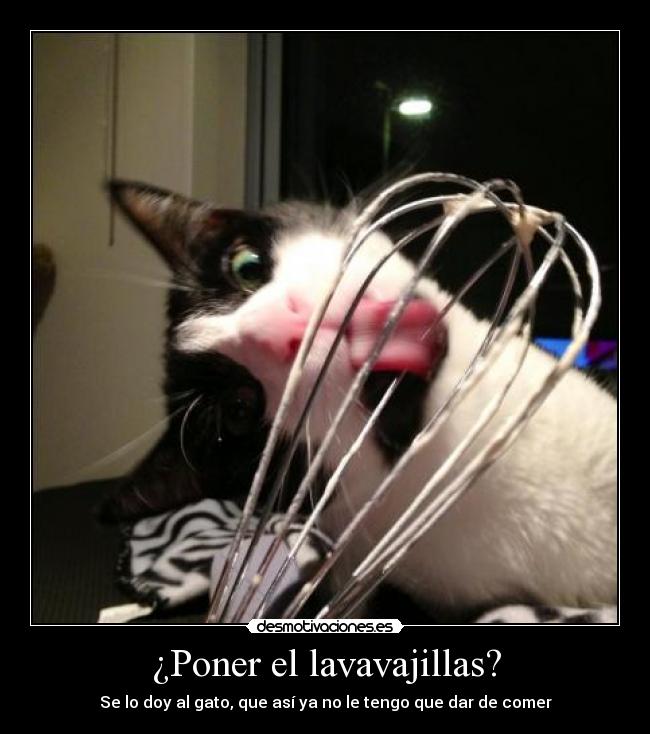 ¿Poner el lavavajillas? -