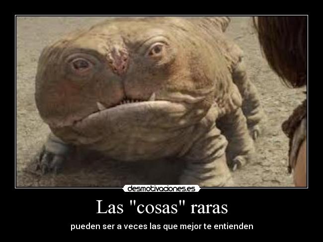 Las cosas raras - pueden ser a veces las que mejor te entienden