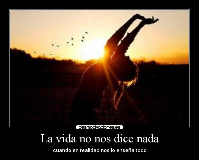 La vida no nos dice nada - cuando en realidad nos lo enseña todo