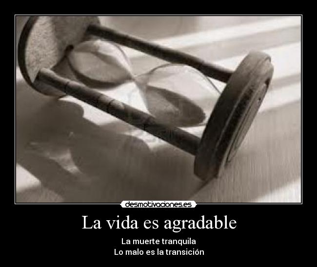 La vida es agradable - 