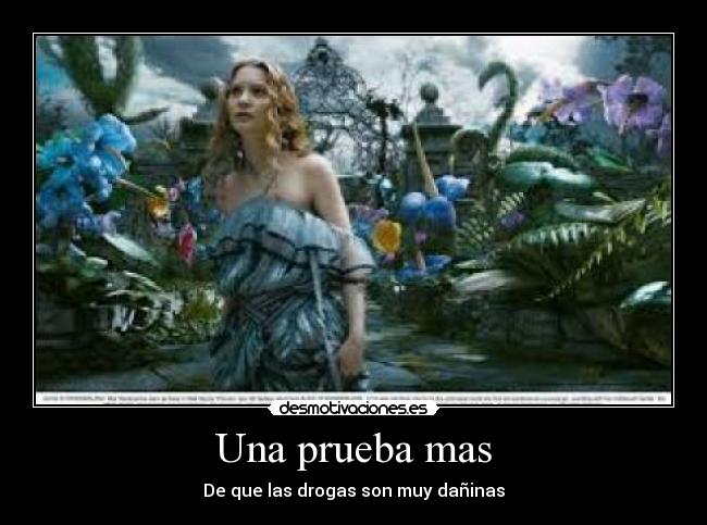 Una prueba mas - De que las drogas son muy dañinas