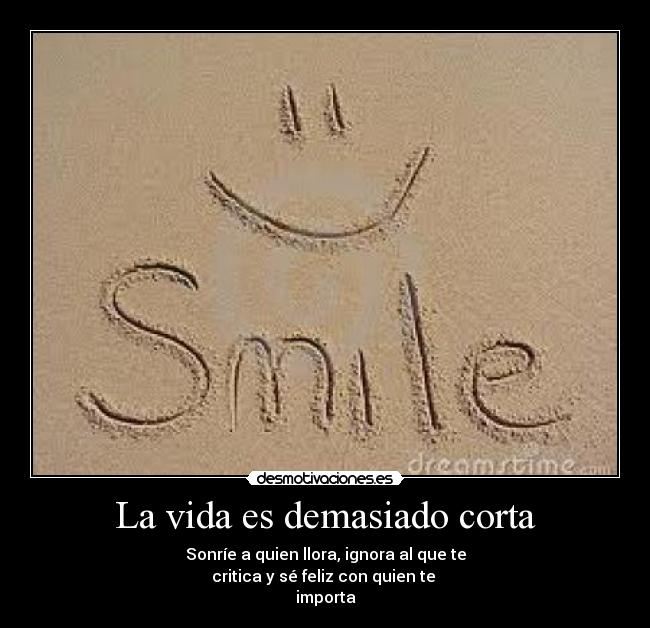 carteles vida feliz desmotivaciones