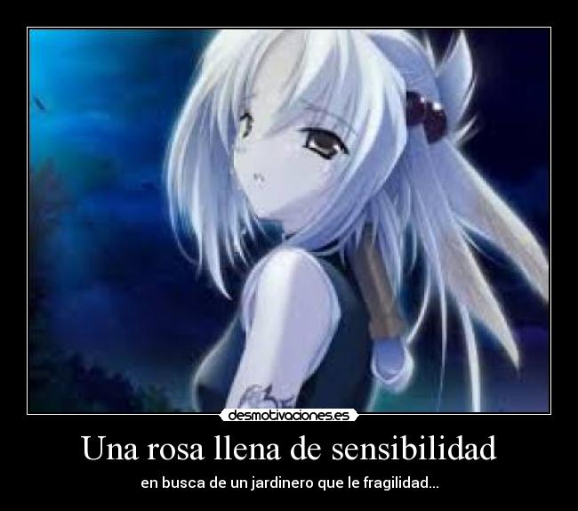 Una rosa llena de sensibilidad - en busca de un jardinero que le fragilidad...
